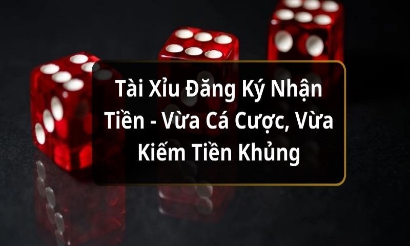 Một số lưu ý xung quanh chính sách chơi tài xỉu đăng ký nhận tiền